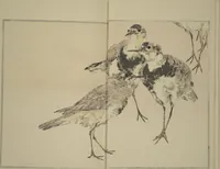 An illustration from Picture Album of Birds and Flowers (Kachō gafu) (1903)