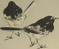 Picture 7 of 8 from Picture Album of Birds and Flowers (Kachō gafu) (1903), leaf 23
