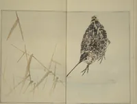 Picture 2 of 8 from Picture Album of Birds and Flowers (Kachō gafu) (1903), leaf 8