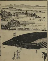 Picture 4 of 14 from Whales and Whale Oil (Jokō roku) (1826), leaf 23