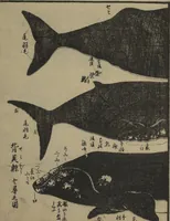 An illustration from Whales and Whale Oil (Jokō roku) (1826)