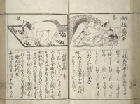 An illustration from Erotica; Compendium Guide to the Brothels of Osaka (Keiryaku ōzassho gyokumon taisei) (1770)