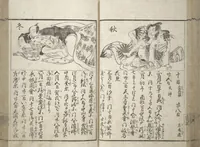 An illustration from Erotica; Compendium Guide to the Brothels of Osaka (Keiryaku ōzassho gyokumon taisei) (1770)