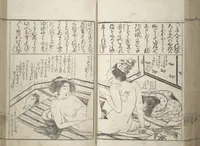 An illustration from Erotica; Compendium Guide to the Brothels of Osaka (Keiryaku ōzassho gyokumon taisei) (1770)