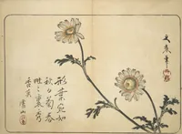 An illustration from Album of Calligraphy and Painting (Shoga jō) (1830)