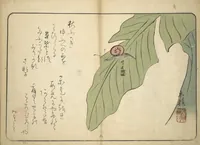 An illustration from Album of Calligraphy and Painting (Shoga jō) (1830)