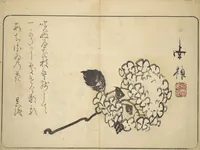 An illustration from Album of Calligraphy and Painting (Shoga jō) (1830)