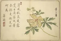 An illustration from Album of Calligraphy and Painting (Shoga jō) (1830)