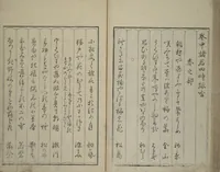 An illustration from Mirror of Yoshiwara Beauties (Seirō bijin awase sugata kagami) (1776)