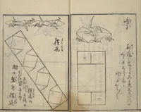 Picture 16 of 23 from A Thousand Cranes and How to Fold Them (Senbazuru orikata) (1797), leaf 23