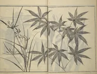 Picture 8 of 16 from Soken Picture Album: The Plant Section (Soken gafu: Sōka no bu) (1806), leaf 29