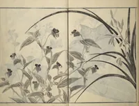 An illustration from Soken Picture Album: The Plant Section (Soken gafu: Sōka no bu) (1806)