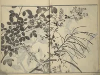An illustration from Soken Picture Album: The Plant Section (Soken gafu: Sōka no bu) (1806)