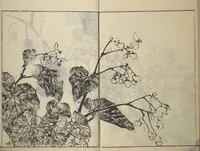 An illustration from Soken Picture Album: The Plant Section (Soken gafu: Sōka no bu) (1806)
