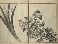 An illustration from Soken Picture Album: The Plant Section (Soken gafu: Sōka no bu) (1806)