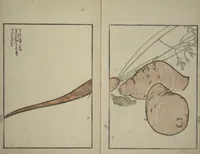 Picture 3 of 17 from Suiseki Picture Album (Suiseki gafu nihen), Second Series (1820), leaf 11