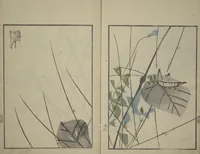 An illustration from Suiseki Picture Album (Suiseki gafu nihen), Second Series (1820)