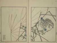 An illustration from Suiseki Picture Album (Suiseki gafu nihen), Second Series (1820)