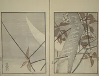 An illustration from Suiseki Picture Album (Suiseki gafu nihen), Second Series (1820)