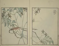 An illustration from Suiseki Picture Album (Suiseki gafu nihen), Second Series (1820)