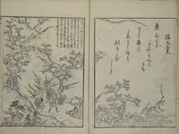 An illustration from Picture Book of Ogura Hill (Ehon ogurayama) (1749)