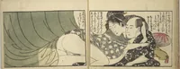 An illustration from Untitled Book of Erotica (Shunga) (1798)