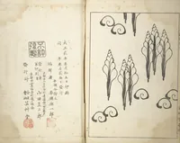 An illustration from Shell Motifs (Kaigara dammen zuan) (1913)