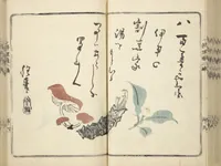 An illustration from Handbook of Fashionable Cuisine for the Epicures of Edo (Edo ryūkō ryōri tsū taizen) (1822)