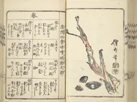 An illustration from Handbook of Fashionable Cuisine for the Epicures of Edo (Edo ryūkō ryōri tsū taizen) (1822)