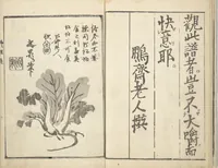 An illustration from Handbook of Fashionable Cuisine for the Epicures of Edo (Edo ryūkō ryōri tsū taizen) (1822)