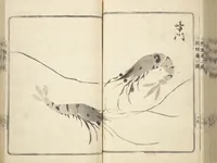 An illustration from Handbook of Fashionable Cuisine for the Epicures of Edo (Edo ryūkō ryōri tsū taizen) (1822)