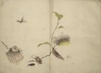 An illustration from Shunkei Picture Album (Shunkei gafu) (1820)