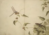 An illustration from Shunkei Picture Album (Shunkei gafu) (1820)