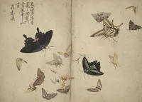 An illustration from Shunkei Picture Album (Shunkei gafu) (1820)