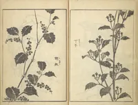 An illustration from Old Manji’s Cursive Picture Album (Manji-ō sōhitsu gafu) (1843)