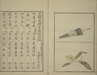 An illustration from Vol. 1 of 5, Various Pictures by Keisai (Keisai soga) (1815)