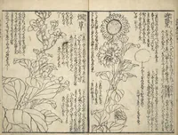 An illustration from Picture Book on the Use of Coloring, first volume (Ehon saishikitsū shohen) (1848)