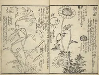 An illustration from Picture Book on the Use of Coloring, first volume (Ehon saishikitsū shohen) (1848)