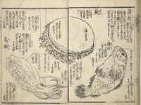 An illustration from Picture Book on the Use of Coloring, first volume (Ehon saishikitsū shohen) (1848)