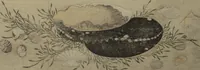 Picture 4 of 9 from Gifts of the Ebb Tide (The Shell Book) (Shiohi no tsuto) (1789), leaf 12