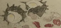 Picture 5 of 9 from Gifts of the Ebb Tide (The Shell Book) (Shiohi no tsuto) (1789), leaf 14
