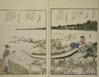 An illustration from Fine Views of the Eastern Capital at a Glance (Tōto meisho ichiran) : [volume 2] (1800)