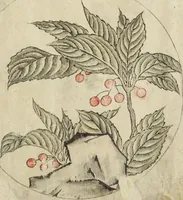 An illustration from Album of Sketches for Lacquer Decoration (Makie 蒔絵) (1850)