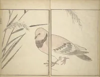 An illustration from Picture Album by Old Man Maruyama (En'ō gafu) : [volume 2] (1837)