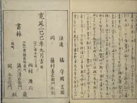 Picture 10 of 10 from The Moving Brush in "Rough" Painting (Unpitsu soga) : [volume 3] (1749), leaf 22