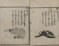 An illustration from Encyclopedia of Western Art (Kōmō zatsuwa 紅毛雑話) : [volume 5] (1787)