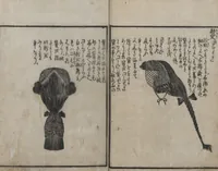 An illustration from Encyclopedia of Western Art (Kōmō zatsuwa 紅毛雑話) : [volume 5] (1787)