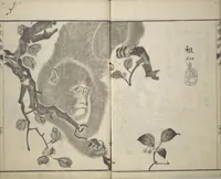 Picture 15 of 21 from Pictures by Famous Artists (Meika gafu) : [volume 1] (1812), leaf 25