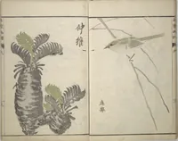 Picture 5 of 21 from Pictures by Famous Artists (Meika gafu) : [volume 1] (1812), leaf 8