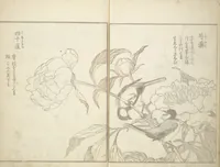 An illustration from True Depictions of Bird and Flower Pictures (Kachōe shashin zui) : [volume 3] (1805)